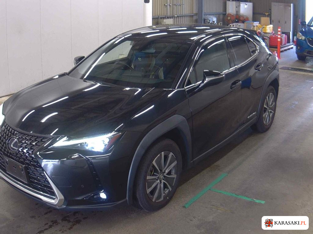 2021 Lexus UX300E Version C 3