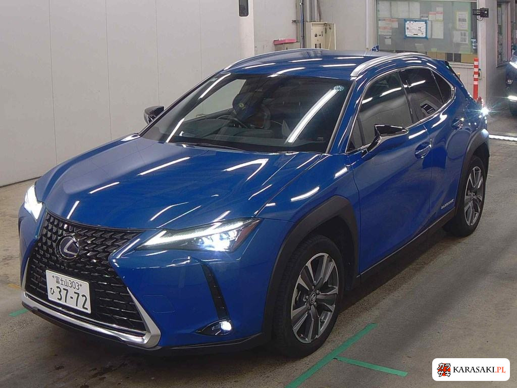 2021 Lexus UX300E Version L 3