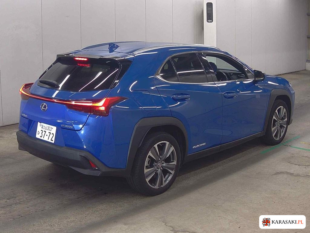 2021 Lexus UX300E Version L 4