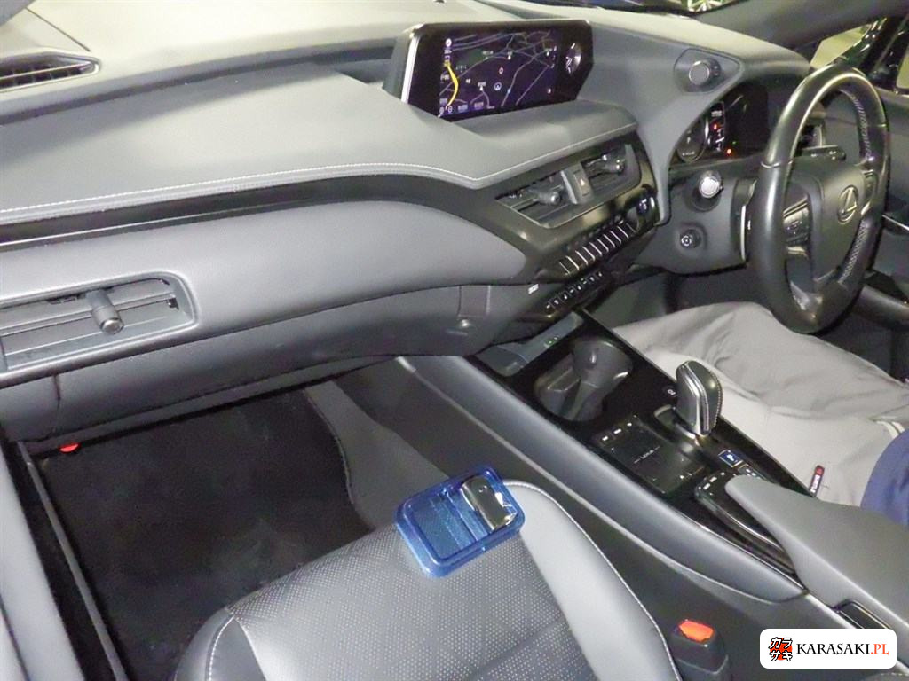 2021 Lexus UX300E Version L 5