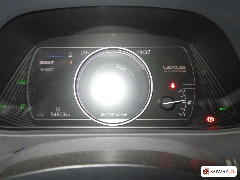 2021 Lexus UX300E Version L 6