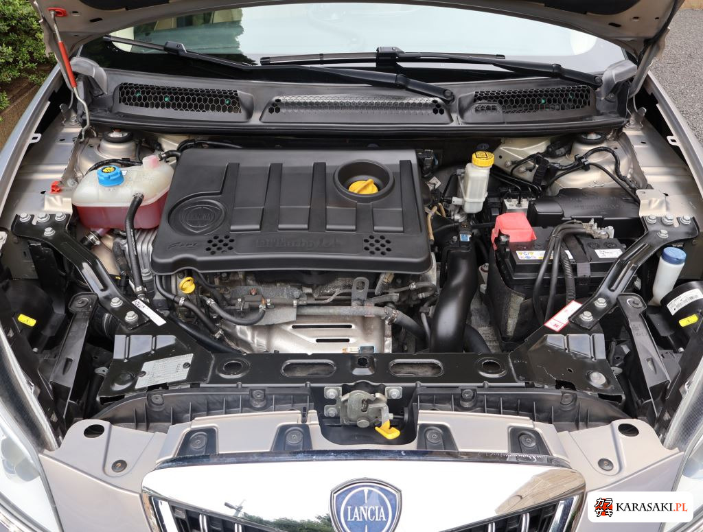 2013 Lancia Delta 13
