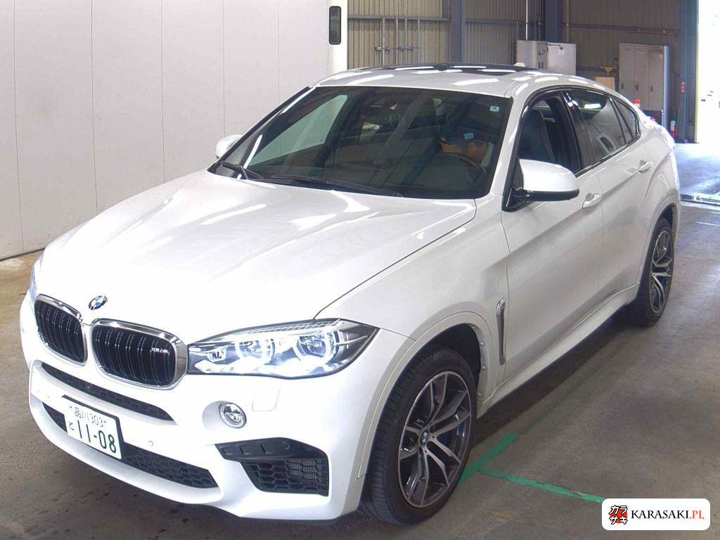 2018 BMW X6 M 4WD Base Grade 3