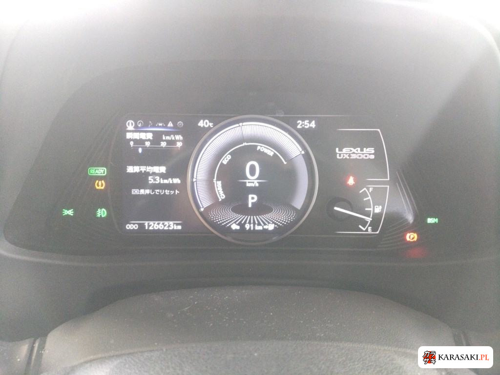 2021 Lexus UX300E Version C 6