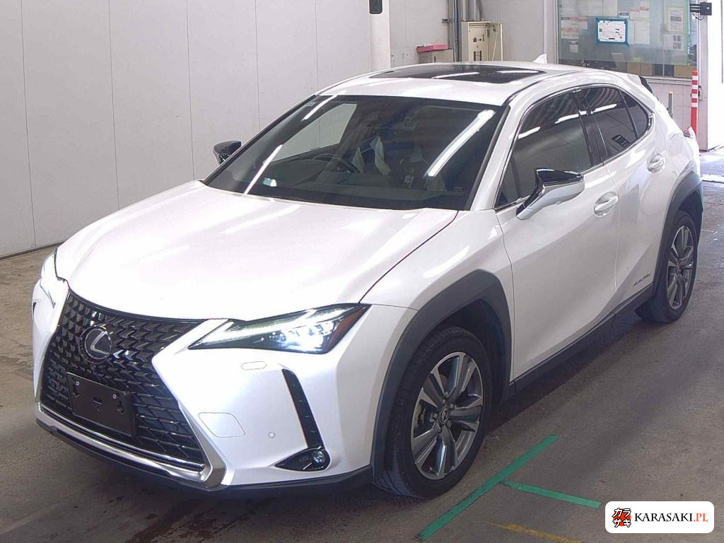 2021 Lexus UX300E Version L 3