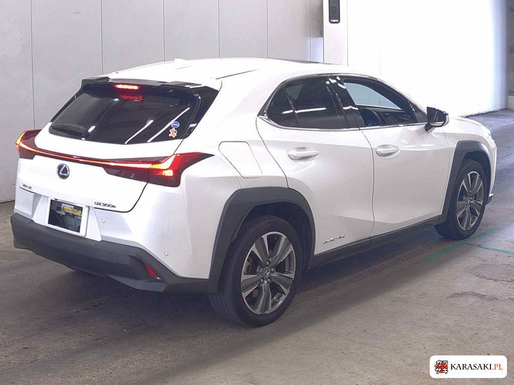 2021 Lexus UX300E Version L 4
