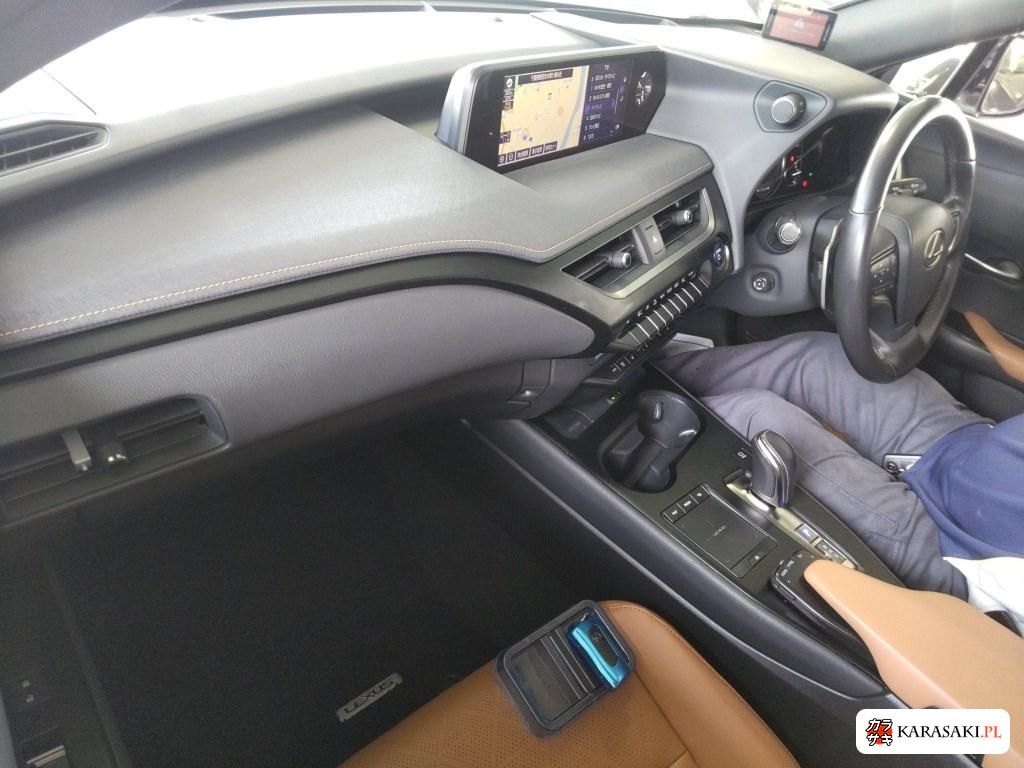 2021 Lexus UX300E Version L 5