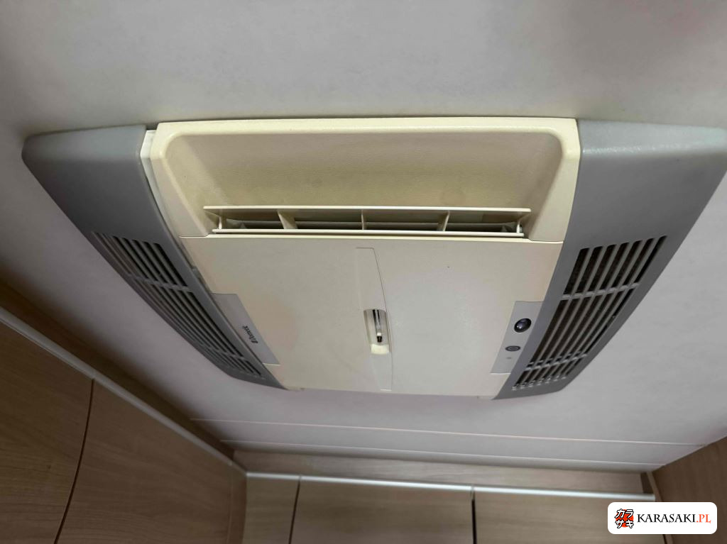 2009 Fiat Ducato 3D 13