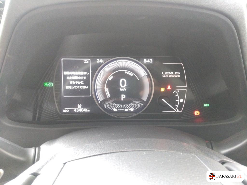 2021 Lexus UX300E Version L 6