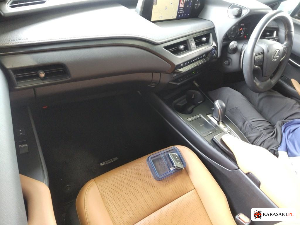 2021 Lexus UX300E Version L 5
