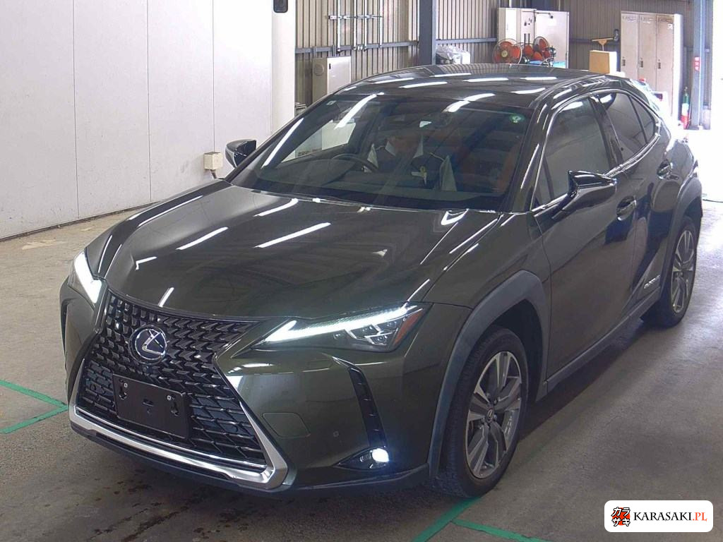 2021 Lexus UX300E Version L 3