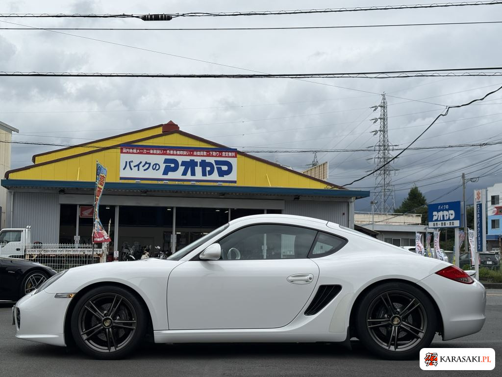 2011 Porsche Cayman Base Grade 9