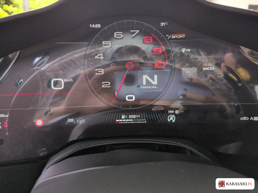 2025 Ferrari Purosangue 4WD Base Grade 6