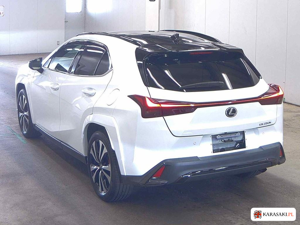2023 Lexus Ux UX250H F Sport Emotional Explorer 2