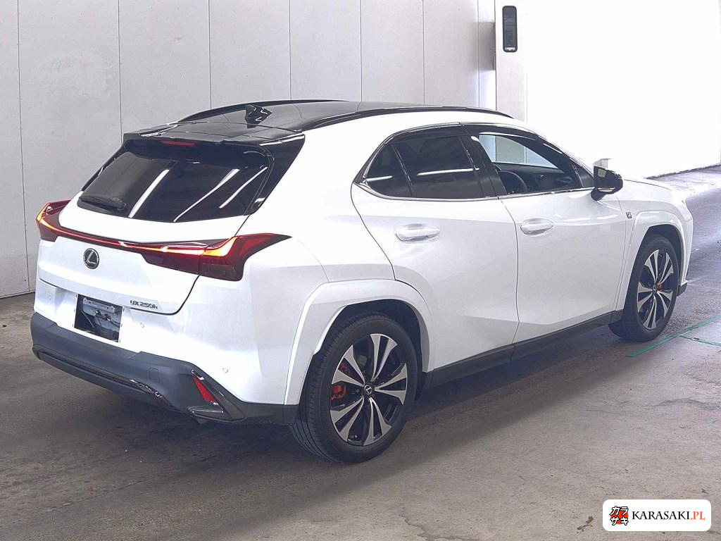 2023 Lexus Ux UX250H F Sport Emotional Explorer 4