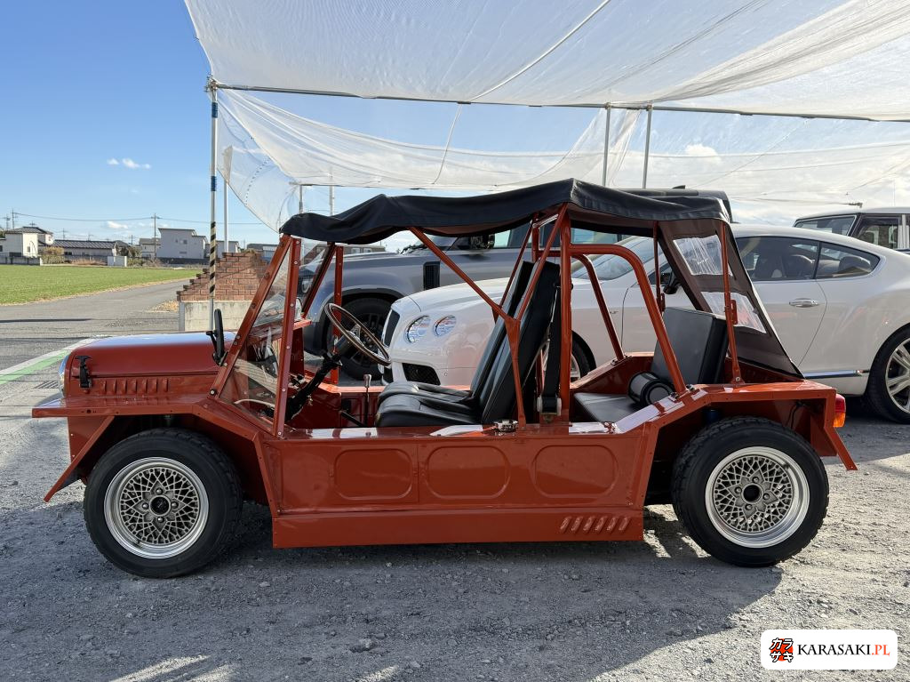 1979 Moke Mini Moke 13