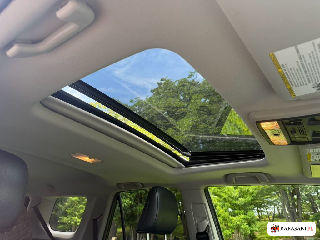 2013 America Toyota 4RUNNER 4WD Limited 13