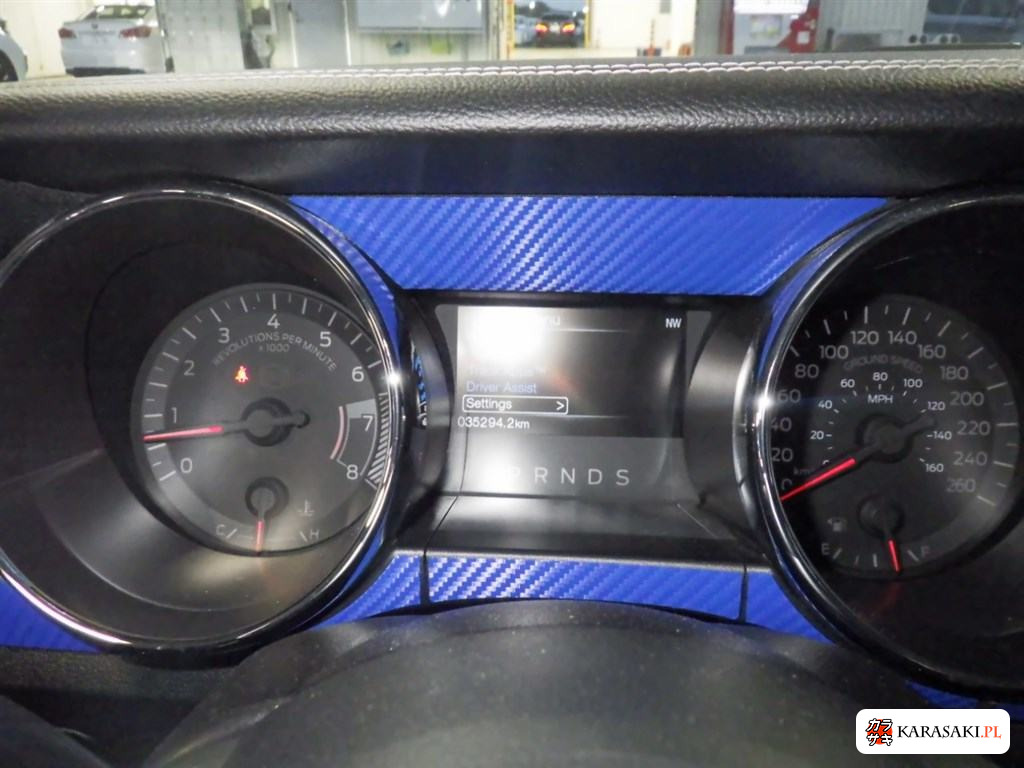 2015 Ford Mustang CP 50 Years Edition 6