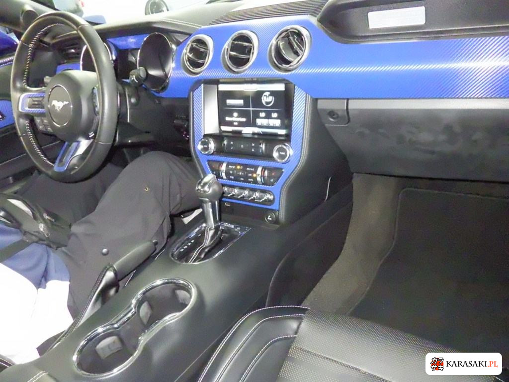2015 Ford Mustang CP 50 Years Edition 3