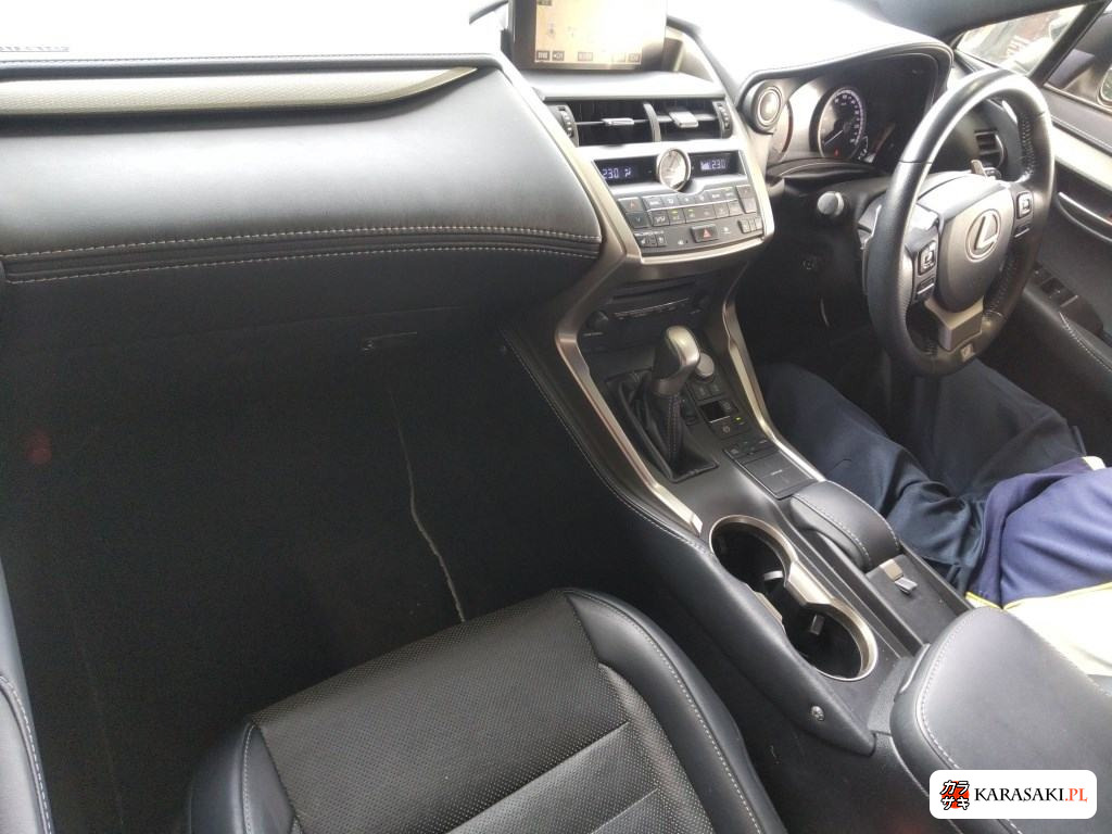 2014 Lexus NX NX200T F Sport 5
