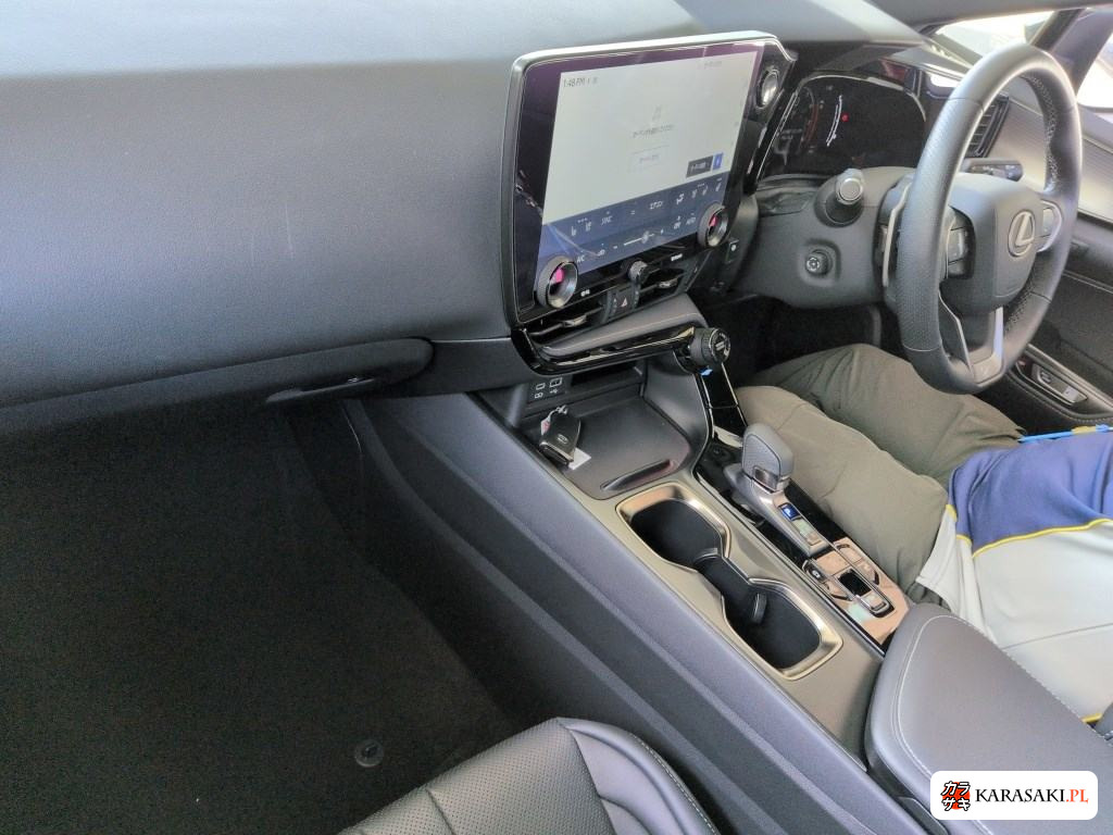 2023 Lexus NX 4WD NX350 F Sport 5