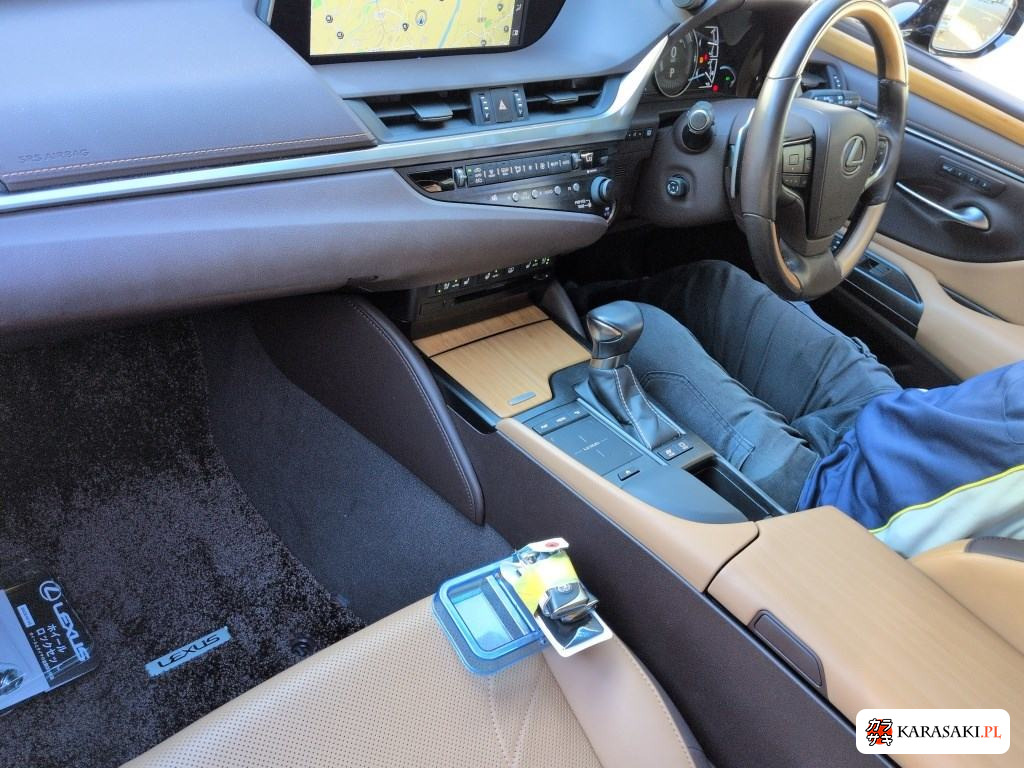 2019 Lexus Es ES300H Version L 5