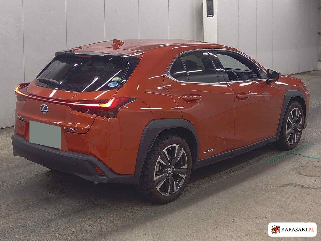 2020 Lexus Ux UX250H Version L 4