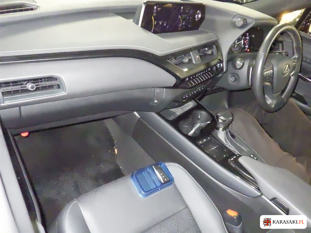 2020 Lexus Ux UX250H Version L 5