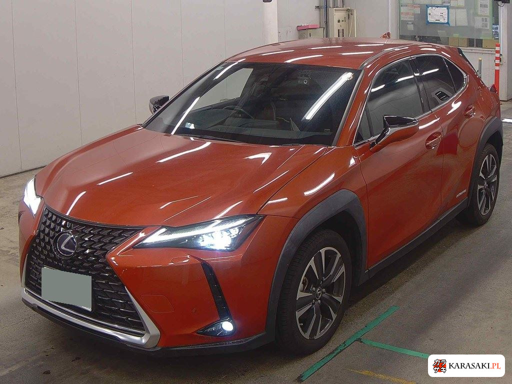 2020 Lexus Ux UX250H Version L 3