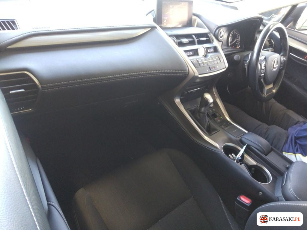 2015 Lexus NX NX300H 5