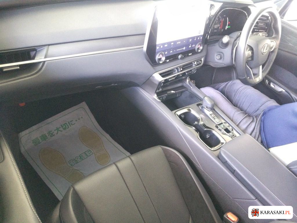 2023 Lexus RX 4WD F Sport 5