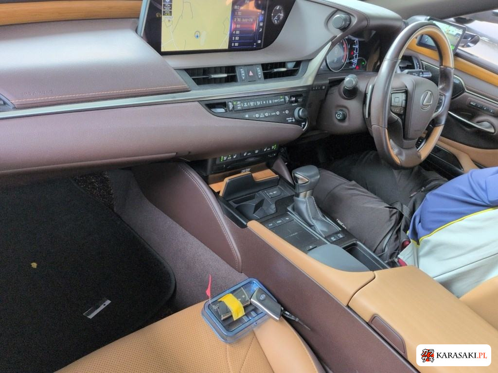 2019 Lexus Es ES300H Version L 5