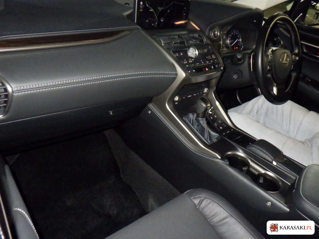 2018 Lexus NX 4WD NX300H Version L 5