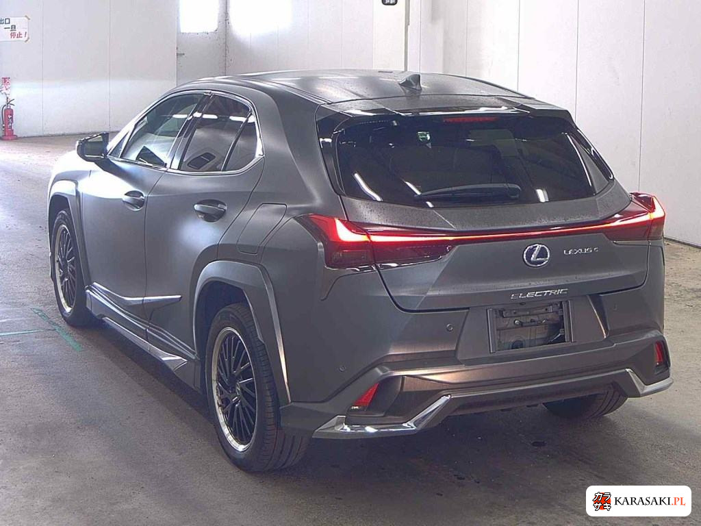 2021 Lexus UX300E Version L 2