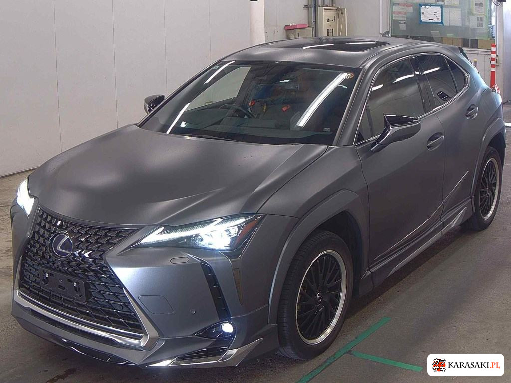 2021 Lexus UX300E Version L 3