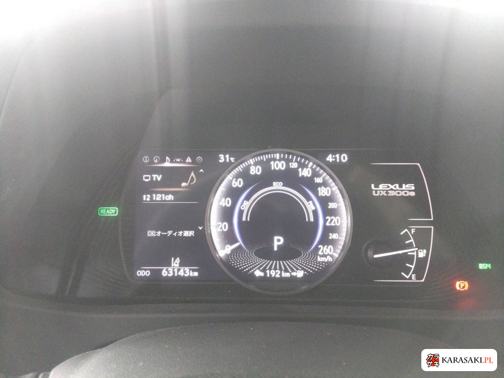 2021 Lexus UX300E Version L 6