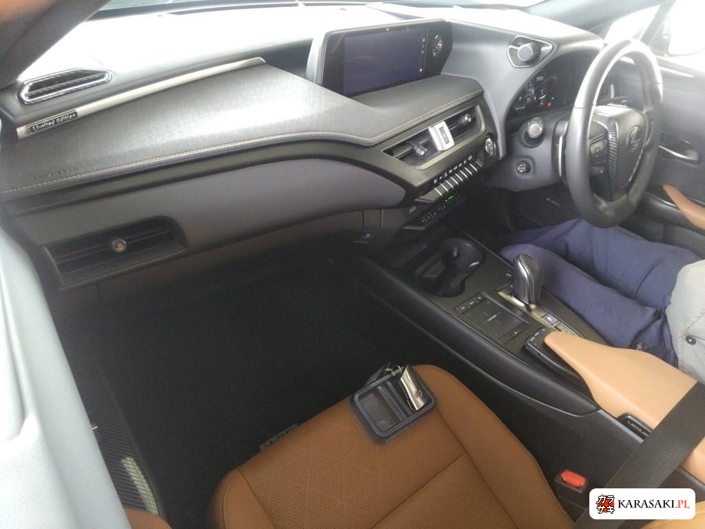 2021 Lexus UX300E Version L 5