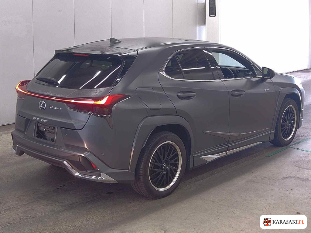 2021 Lexus UX300E Version L 4