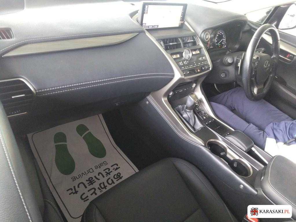 2020 Lexus NX NX300 Special Edition Spice And Chic 5