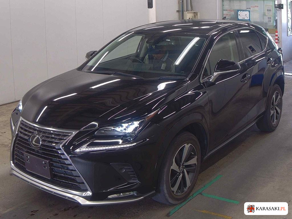 2020 Lexus NX NX300 Special Edition Spice And Chic 3