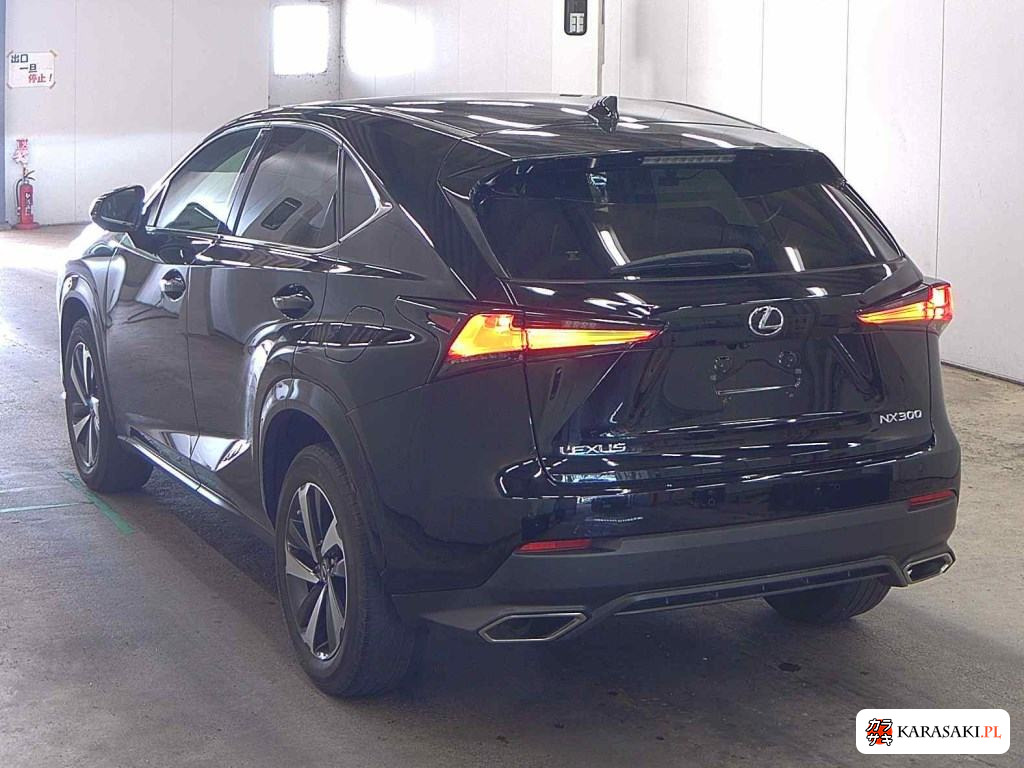 2020 Lexus NX NX300 Special Edition Spice And Chic 2