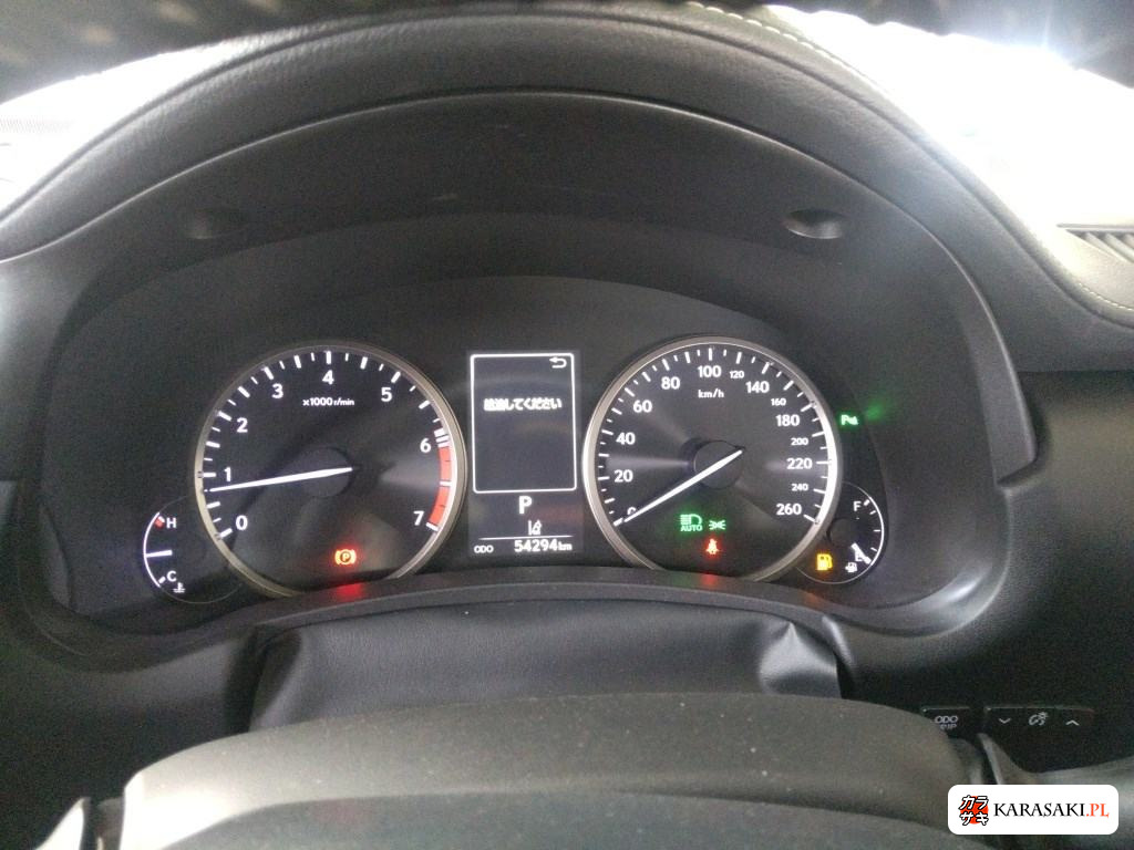 2020 Lexus NX NX300 Special Edition Spice And Chic 6