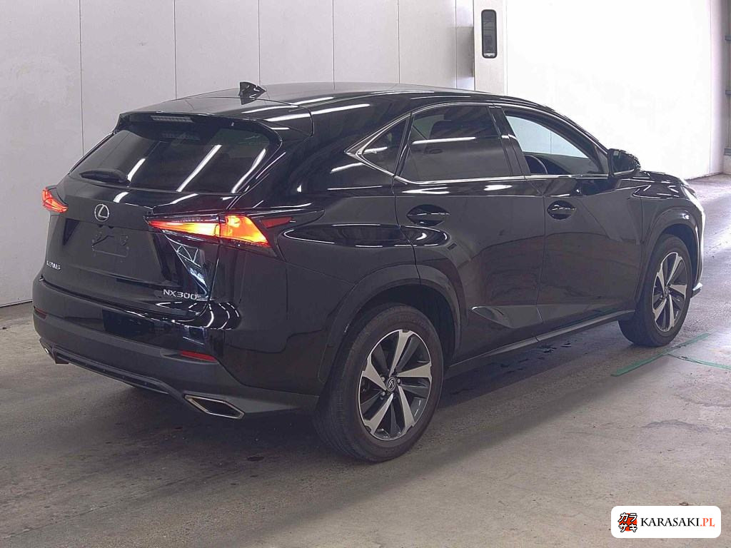 2020 Lexus NX NX300 Special Edition Spice And Chic 4