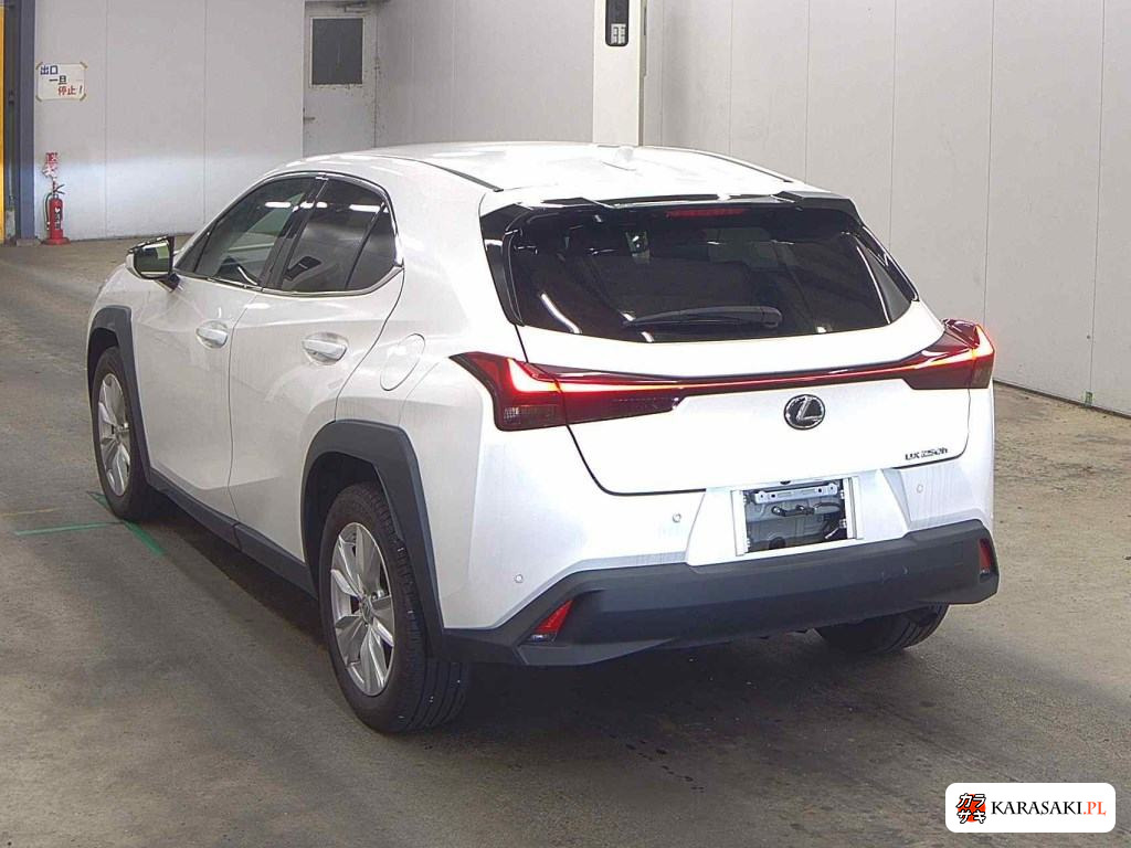 2023 Lexus Ux UX250H Version C 2