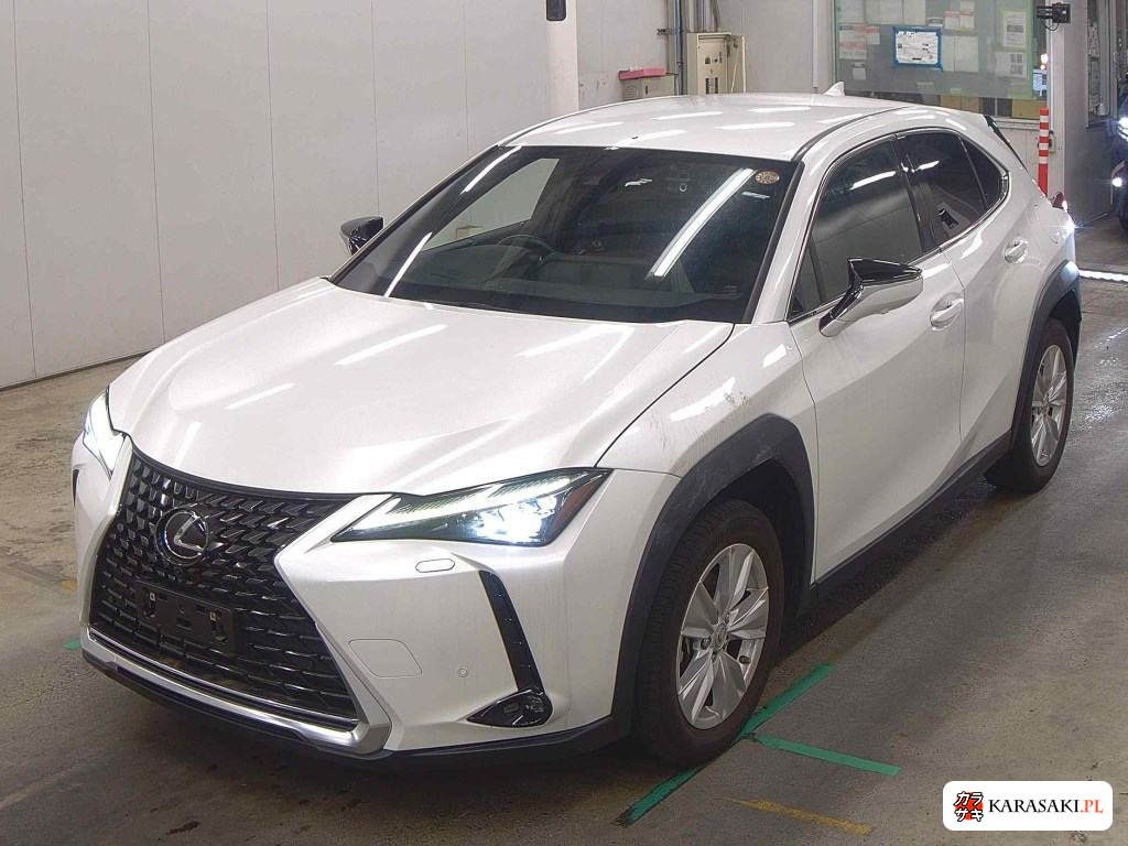 2023 Lexus Ux UX250H Version C 3