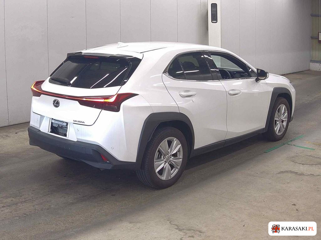 2023 Lexus Ux UX250H Version C 4