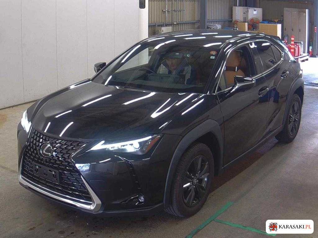 2023 Lexus Ux UX250H Version C 3