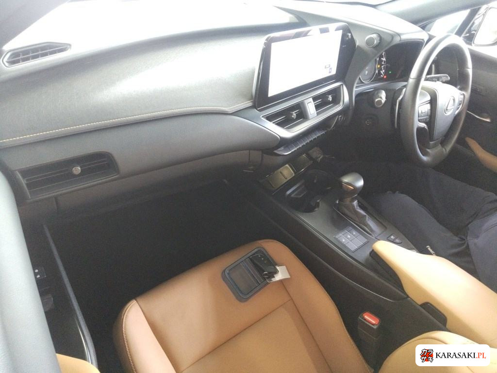 2023 Lexus Ux UX250H Version C 4