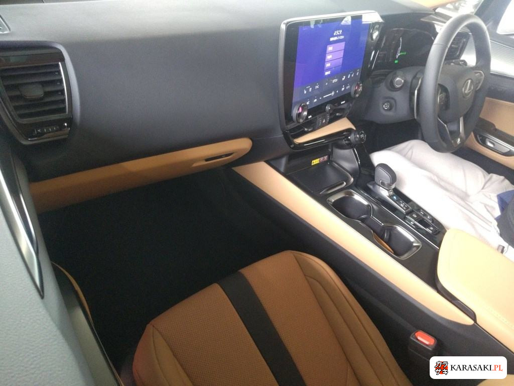 2025 Lexus NX 4WD NX350H F Sport 5