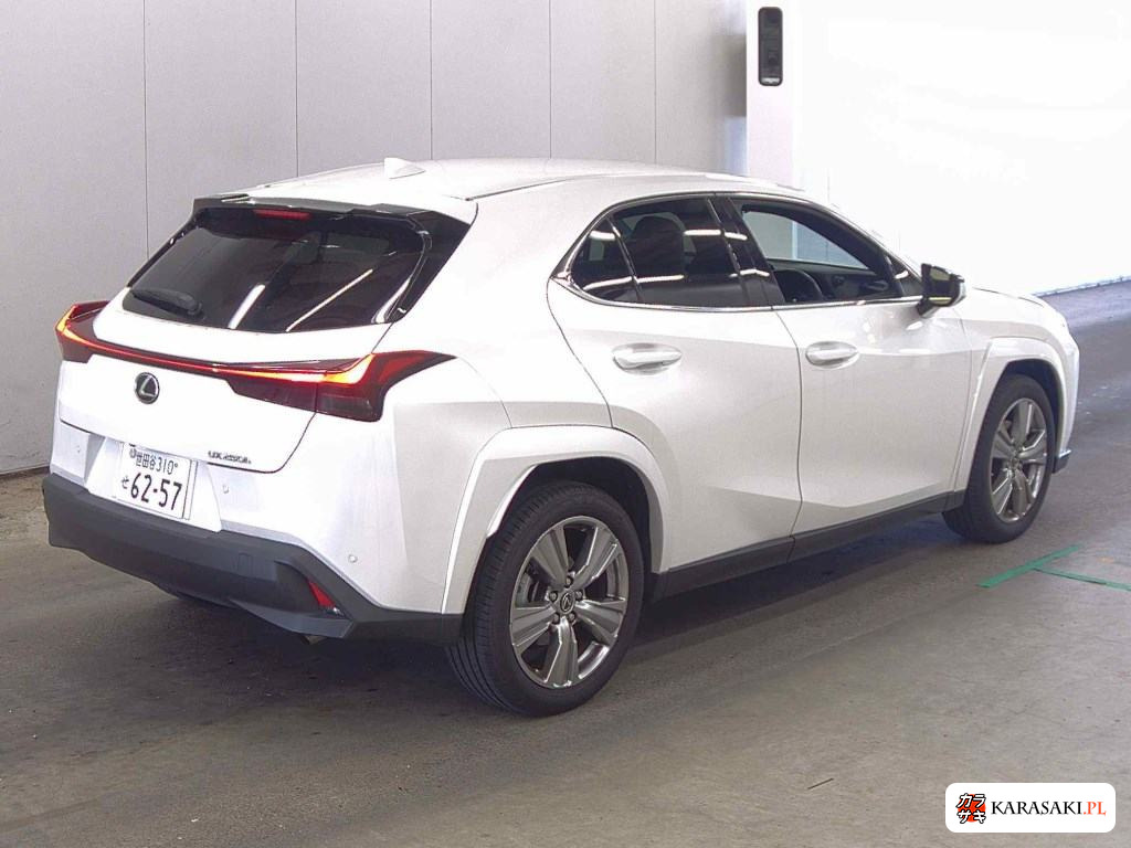 2023 Lexus Ux UX250H Graceful Explorer 4